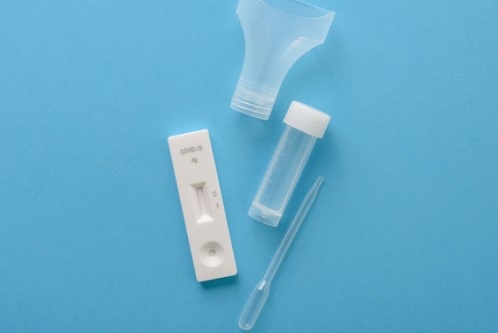 Министерството на образованието и науката ще предостави 12 8 млн лв