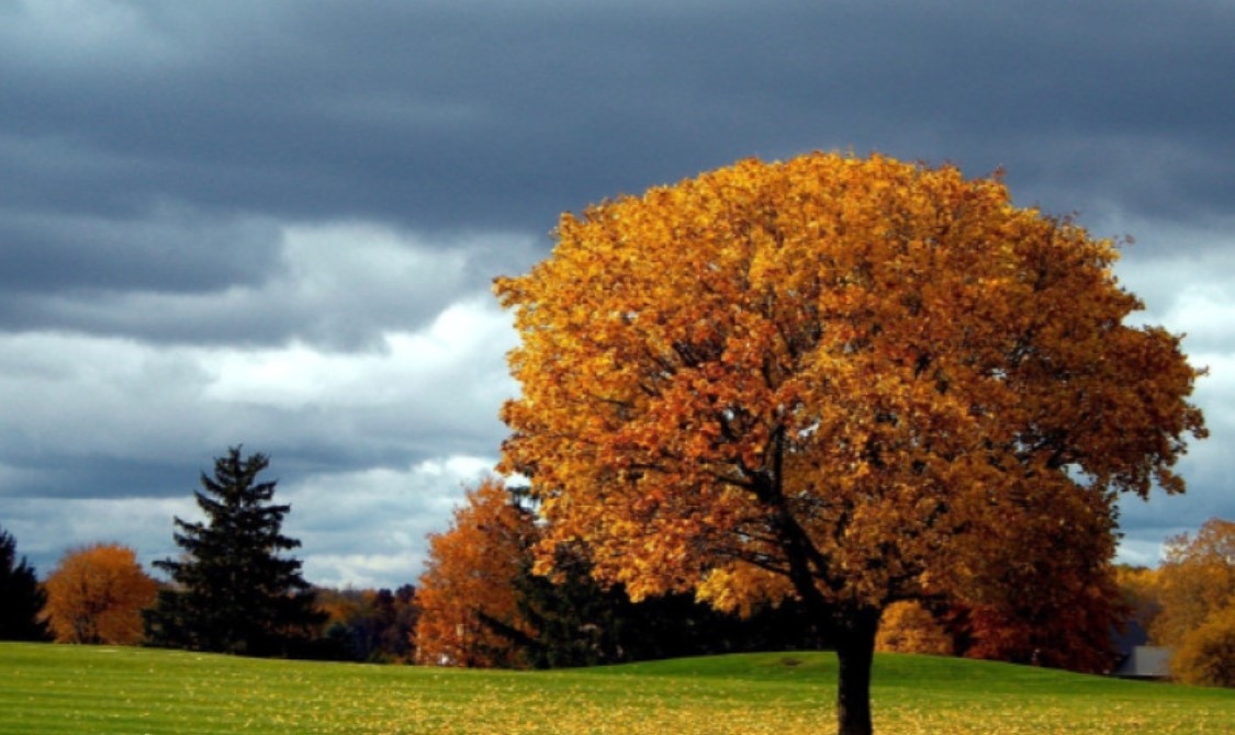 Днес от запад югозапад облачността ще се увеличава и вплътнява а