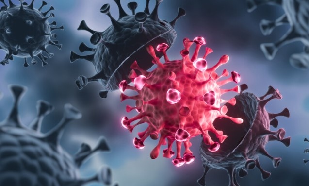 Световната здравна организация заяви че не е получила съобщения за