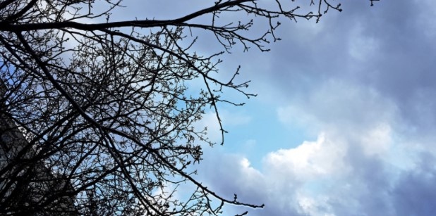 Днес преди обяд на отделни места в Западна България все