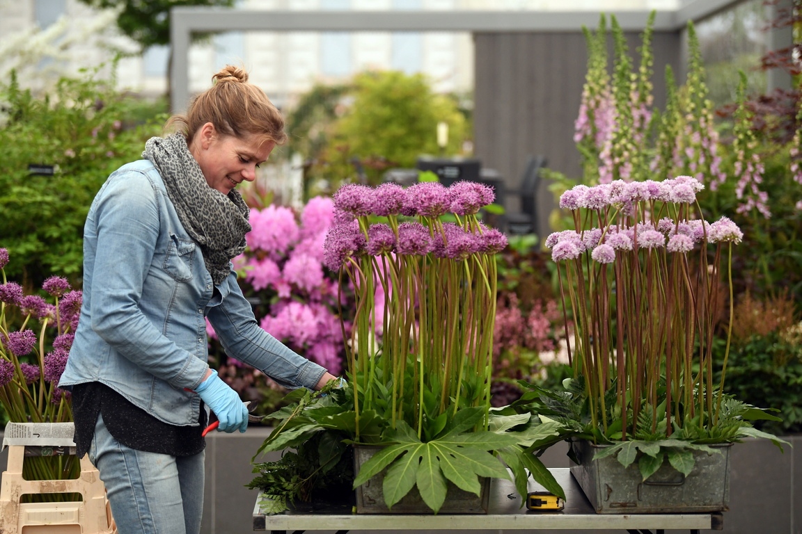 Челси е област в Западен Лондон Това е район през