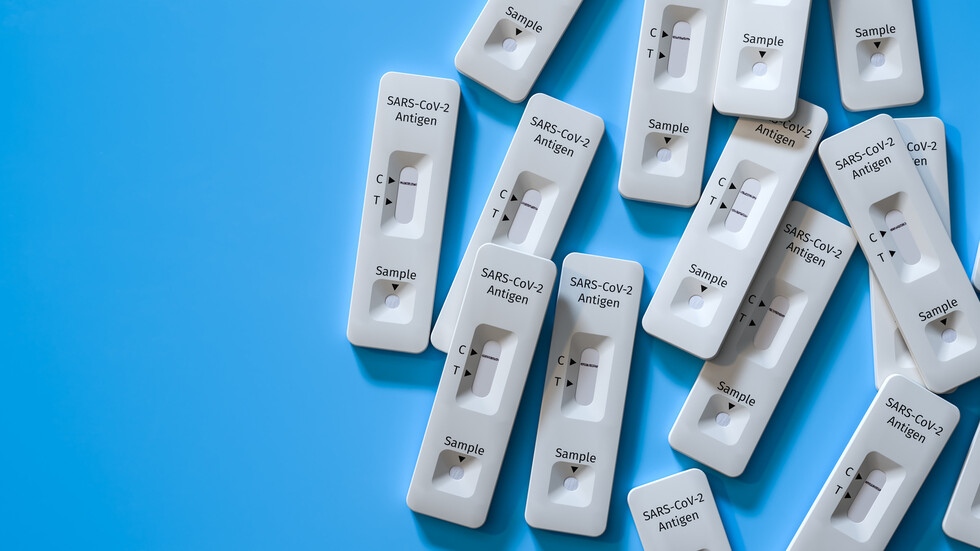 Белгийски изследователи предупредиха в навечерието на празниците да не се