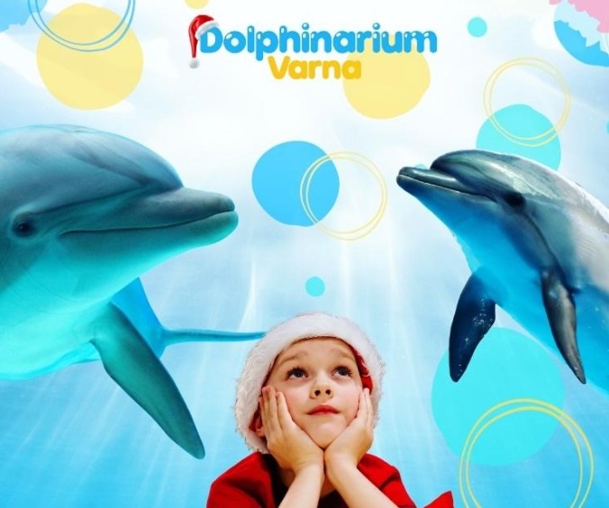 По повод предстоящите Коледни и новогодишни празници Делфинариум Варна ще