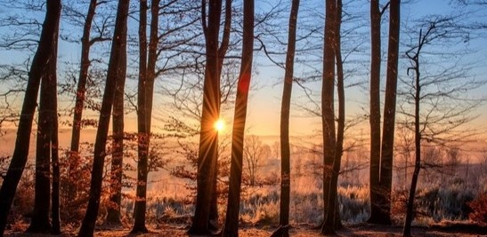 Днес преди обяд облачността все още ще е значителна но