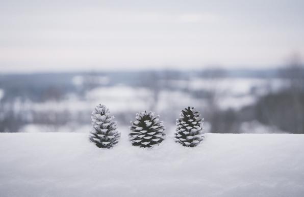Днес още в сутрешните часове валежите и в крайните югоизточни