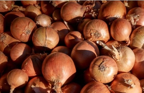 Sunions сорт лук без сълзи за който дистрибуторите твърдят че