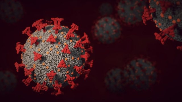 6630 са новите случаи на коронавирус у нас за последните
