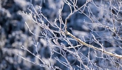 Днес ще преобладава слънчево време По значителна облачност ще има над