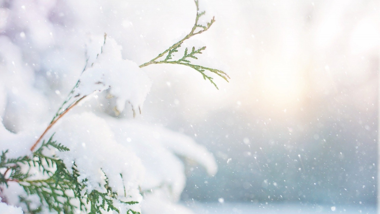 Ситуацията в Турция постепенно се нормализира Летището на Истанбул възобновява