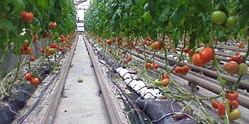 Все повече български общини въвеждат режим на тока като ограничават