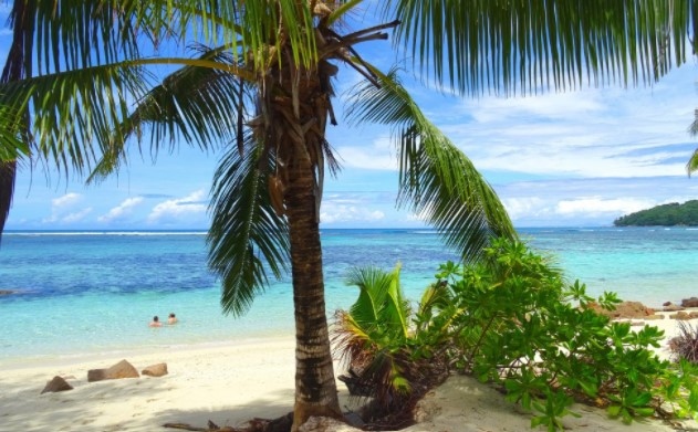 Днес от столичното летище излетя първият чартърен полет от България