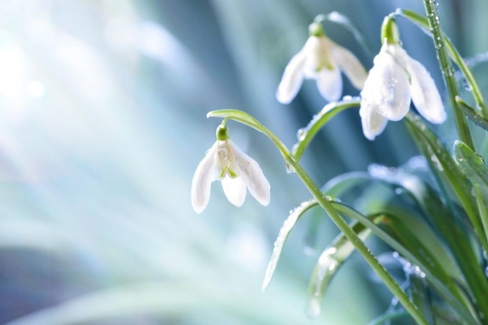 През първите дни от месеца в периода 1 до 3