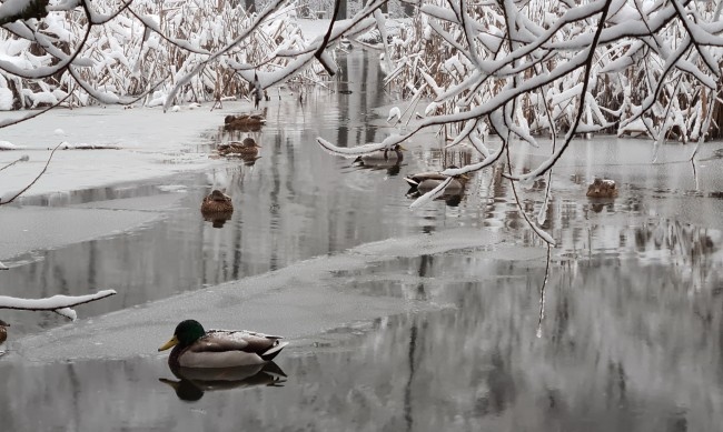Във вторник 1 февруари ще се заоблачи и от запад