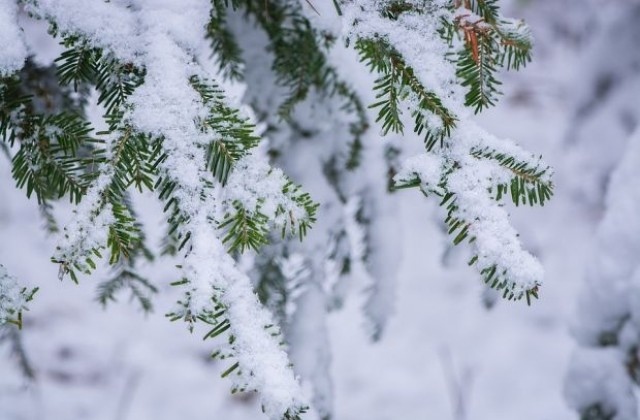 През следващото денонощие облачността ще е значителна Ще духа слаб