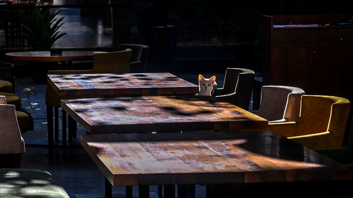 Собствениците на заведения смятат че проверките на НАП целят да