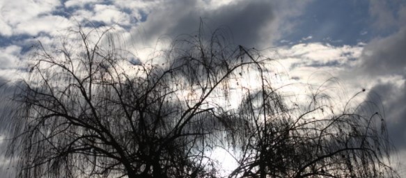 Днес преди обяд с приближаващ към страната студен атмосферен фронт