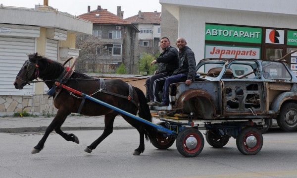 От 1 юни 2022 г се забранява движението на коне