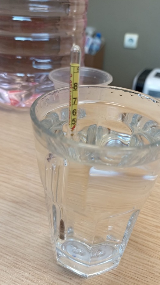 Нещо колкото извънредно толкоз и необичайно се случи в наш