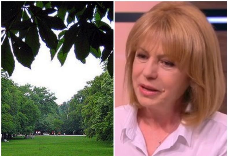 Над 3000 становища с абсолютно идентичен текст пуснаха зелените активисти