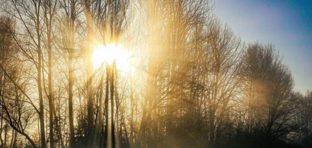 Минималните температури ще бъдат между 0 deg и 5 deg в София