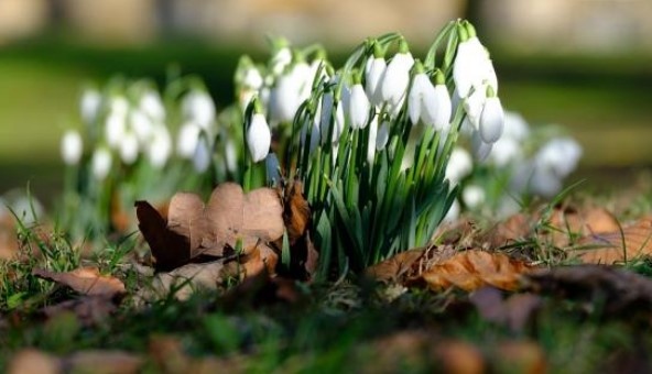 Днес ще бъде слънчево след обяд над западните райони с