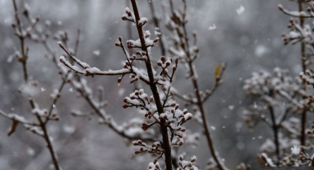 Днес облачността ще бъде променлива над много райони по често значителна