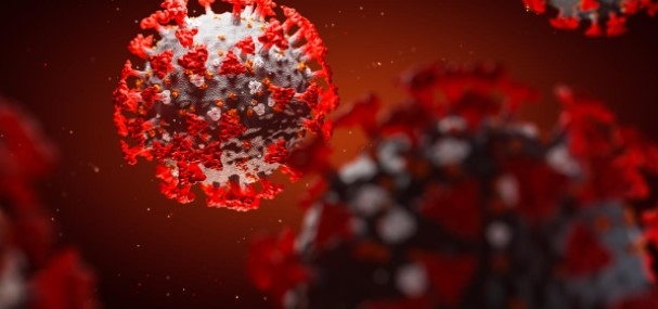 Страната ни вече е постигнала добър колективен имунитет срещу COVID 19