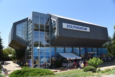 Делфинариум Варна очаква на представленията децата и майките за 8