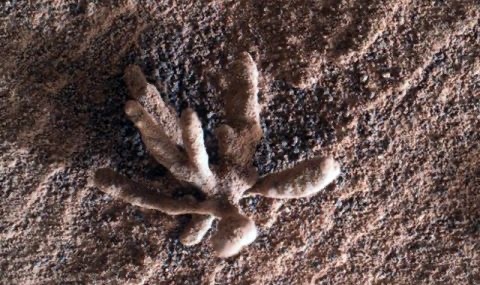 Американската космическа агенция НАСА съобщава че по време на изследването