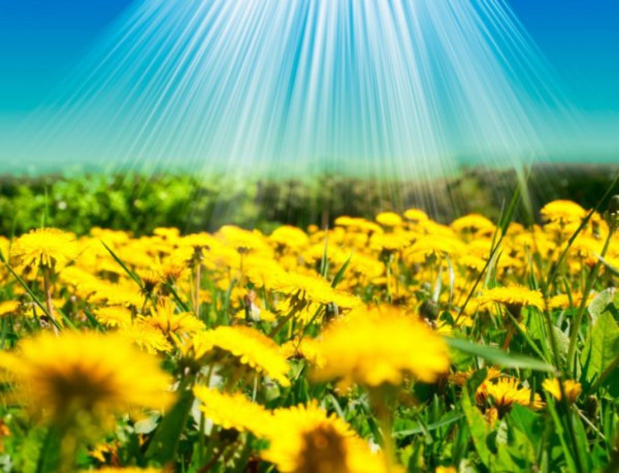 Сряда следващата седмица ще бъде последният хладен ден за март