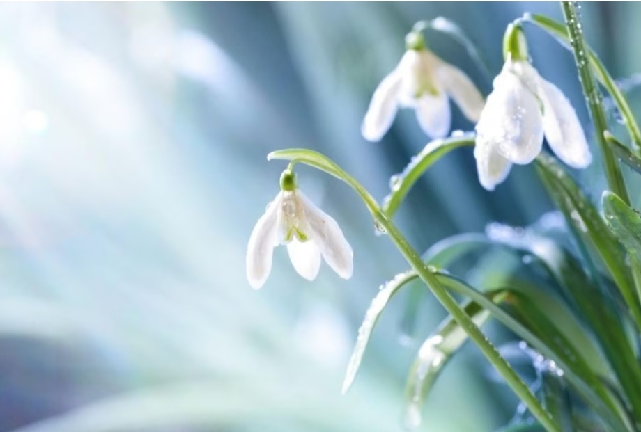 Днес преди обяд ще бъде предимно слънчево След обяд облачността