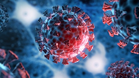 Новите случаи на COVID 19 у нас са 1442 при 13