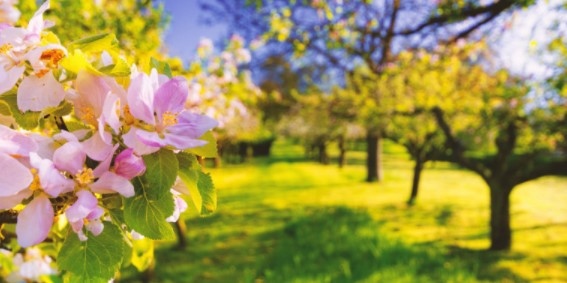 През април ни очаква топло време с температури малко над