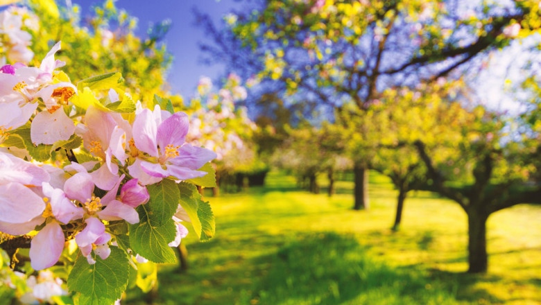 Оранжев код се очаква в източните райони днес а и
