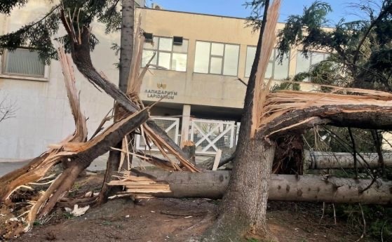 Ураганен вятър нанесе сериозни щети в десетки населени места на