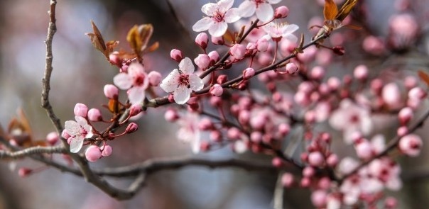 Днес облачността над страната ще е променлива след обяд по