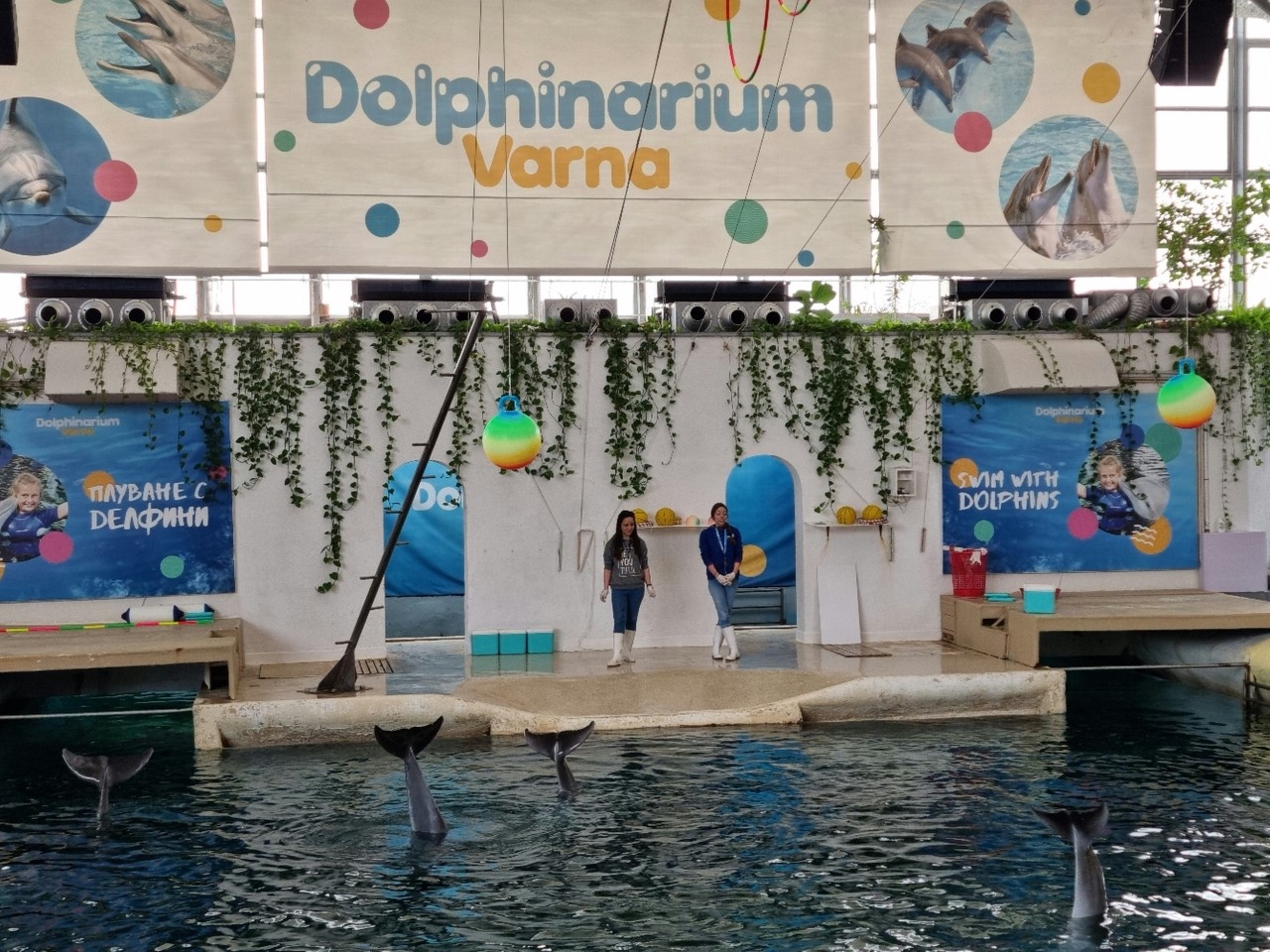 Делфинариум Варна очаква на представленията децата и майките през априлската