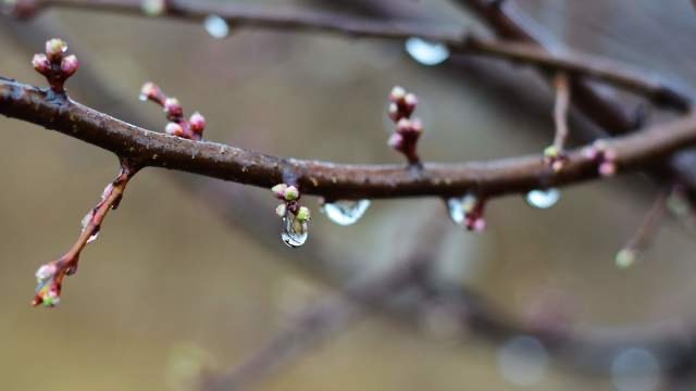 В четвъртък започналото от запад увеличение на облачността ще обхване