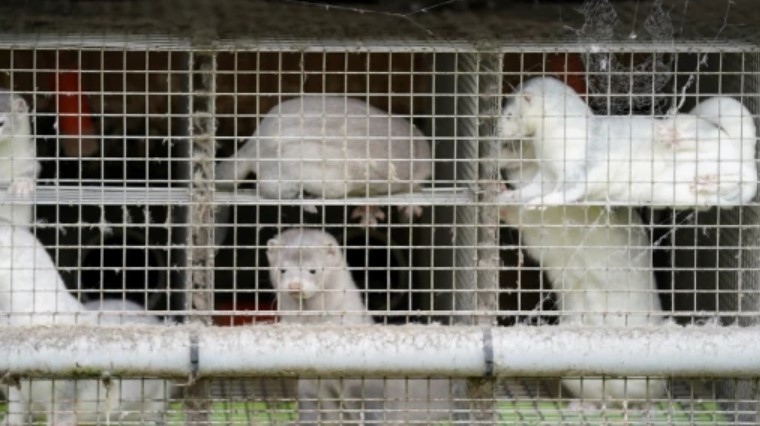 Проект на заповед на министъра на околната среда и водите