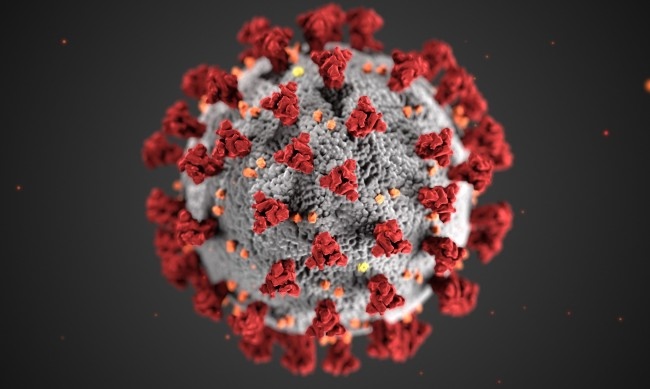647 са новите случаи на коронавирус у нас за последните