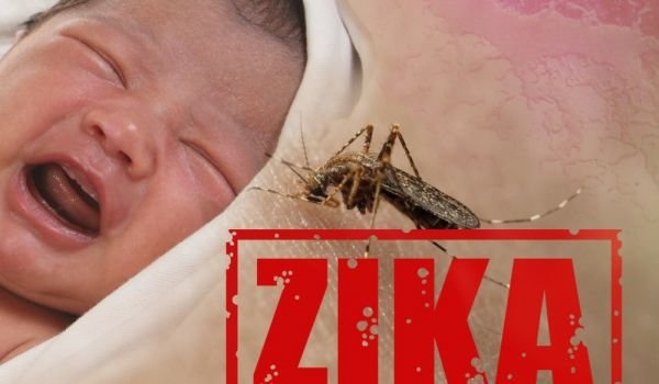 Една-единствена мутация може да направи пренасяния от комари вирус Зика