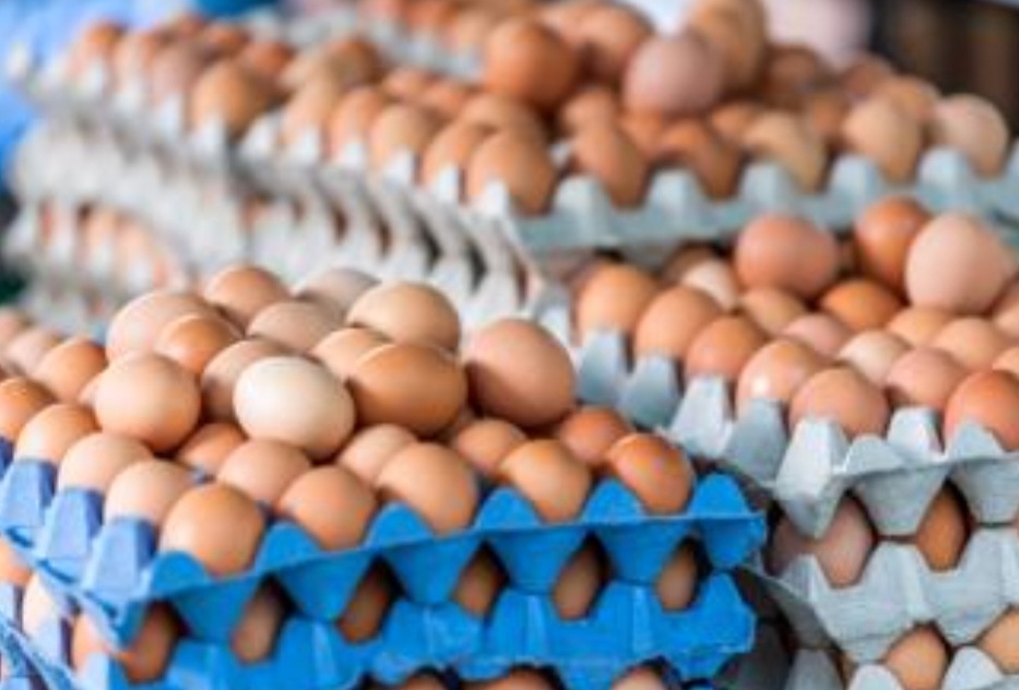 Национална агенция за приходите извършва денонощно наблюдение на фирмите