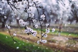 Днес се очаква рязко и съществено застудяване и проливни валежи