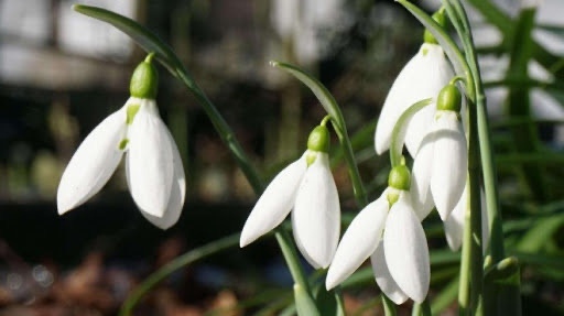 В понеделник от запад на изток облачността ще започне бързо