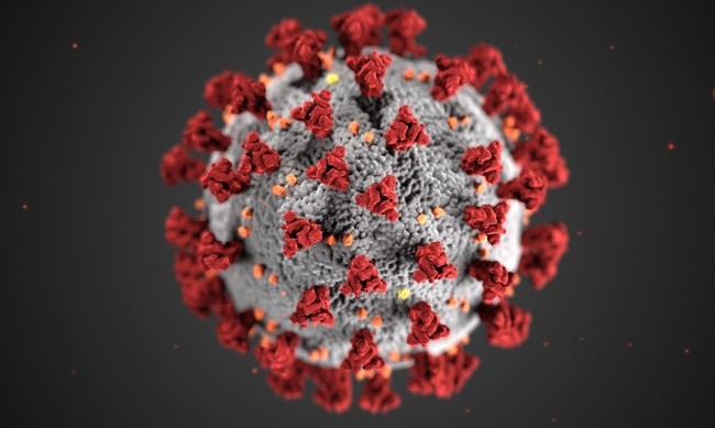 254 са новите случаи на коронавирус у нас за последните