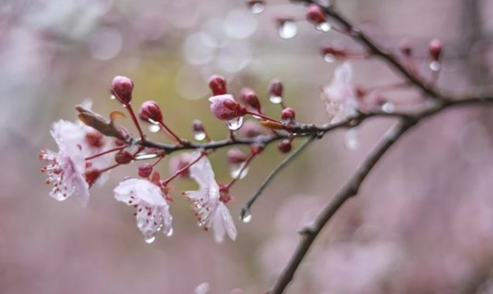 Днес облачността над цялата страна ще бъде значителна и на