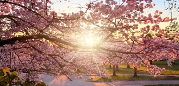 Днес ще преобладава слънчево време с временни увеличения на облачността