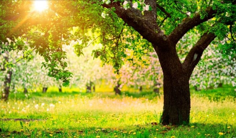 Днес ще бъде предимно слънчево с временни увеличения на облачността