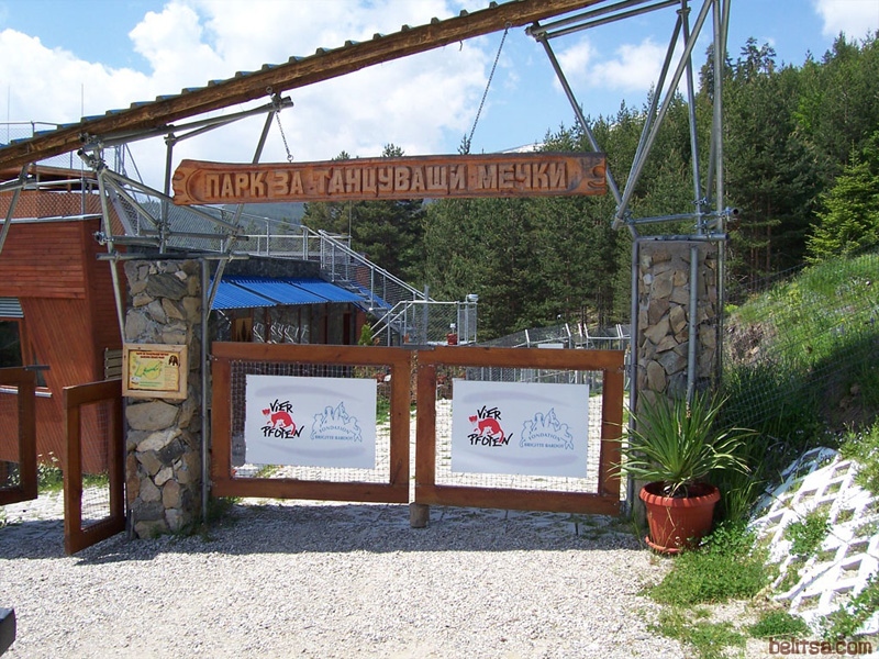 Паркът за мечки в Белица празнува 20 годишен юбилей От официалното му