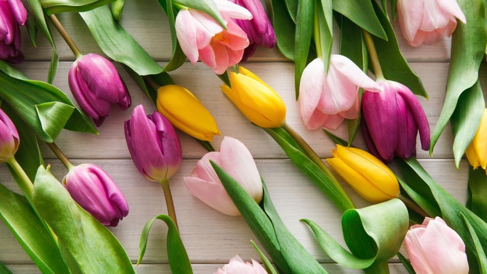 На места ще има краткотрайни валежи в повечето райони